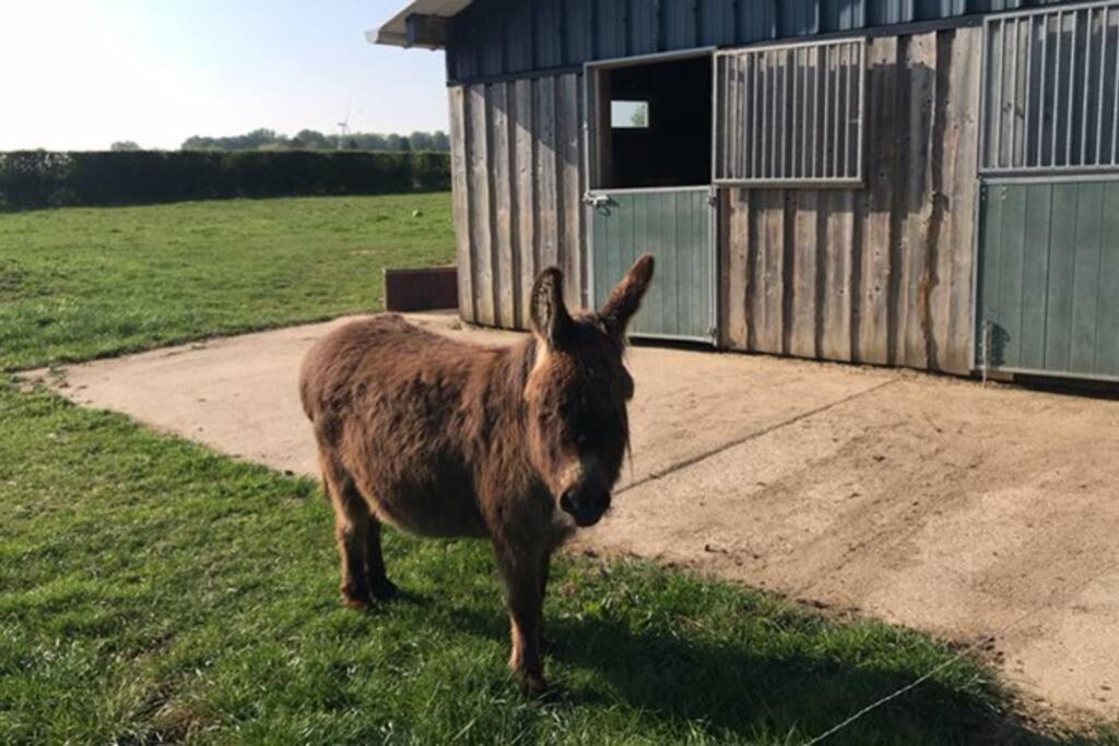 Photo of Others in Pommereval