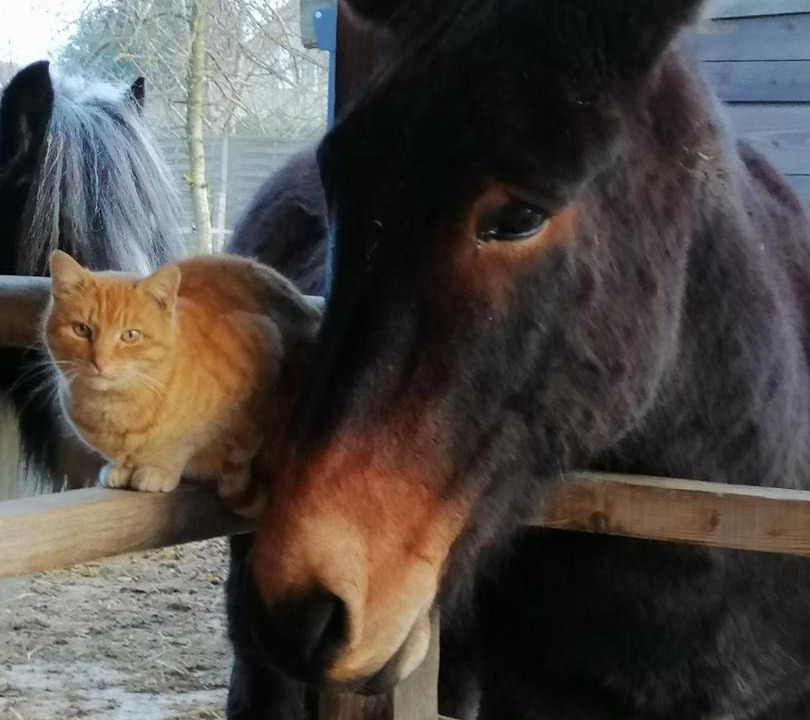 Photo of Others in Flacheres