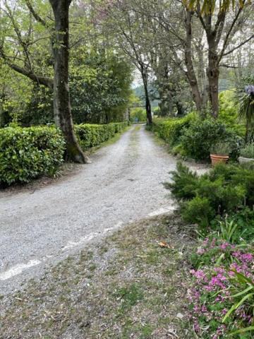 Photo of Outdoor in Anduze