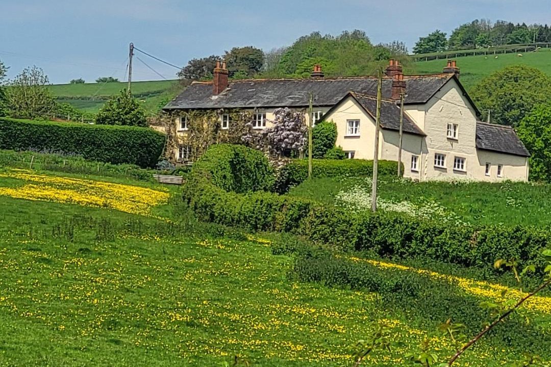 Photo of Others in Bradninch