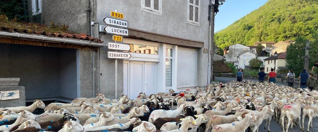 Photo of Others in Mauleon-Barousse