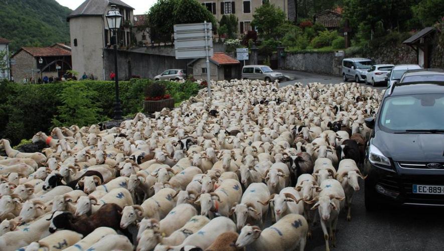 Photo of Others in Mauleon-Barousse