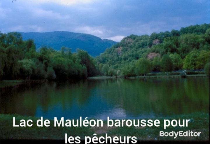 Photo of Outdoor in Mauleon-Barousse