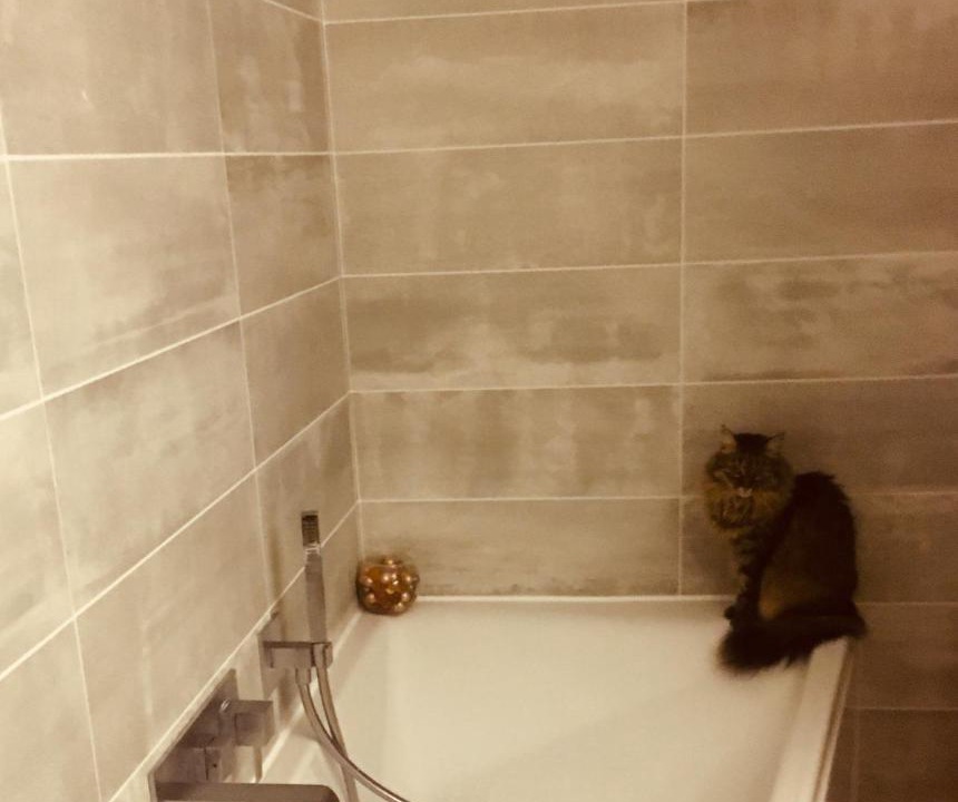 Photo of Others in Saint-Michel-sur-Rhone