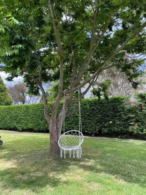 Photo of Others in Medway