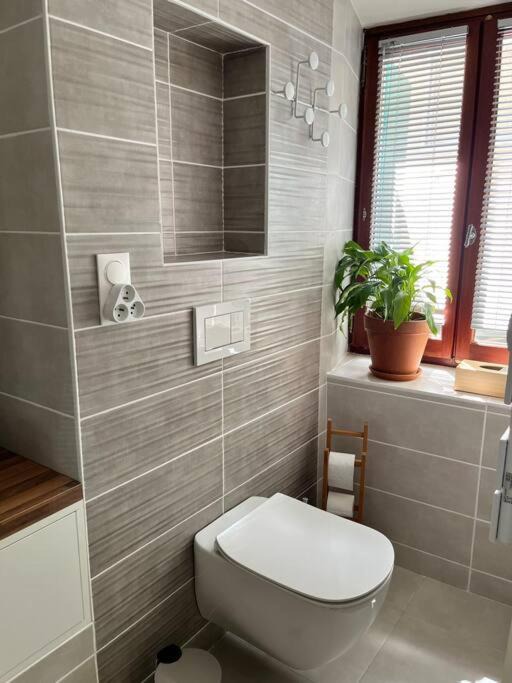 Photo of Others in Messery