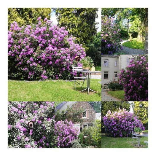 Photo of Others in La Ferriere