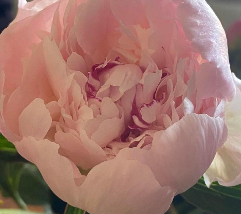 Photo of Others in Tourlaville