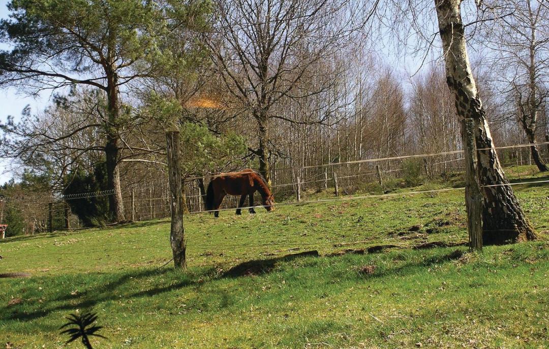 Photo of Others in Saulxures