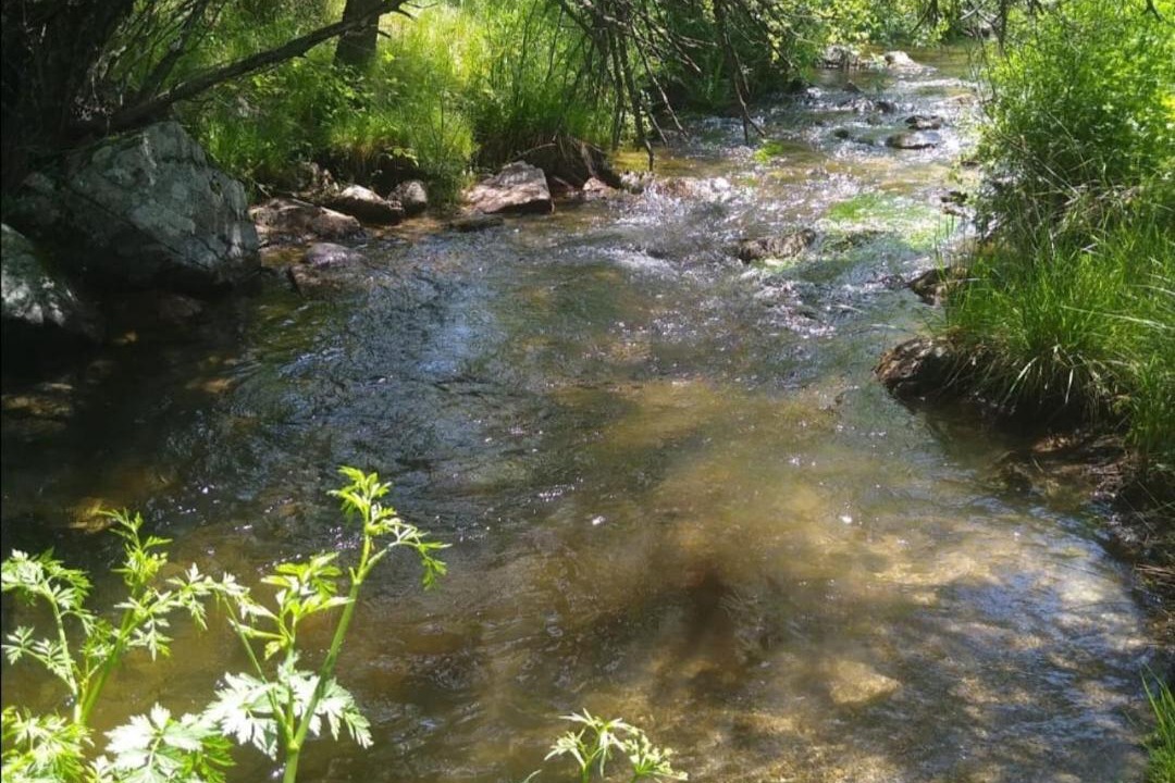 Photo of Others in Ventosilla y Tejadilla