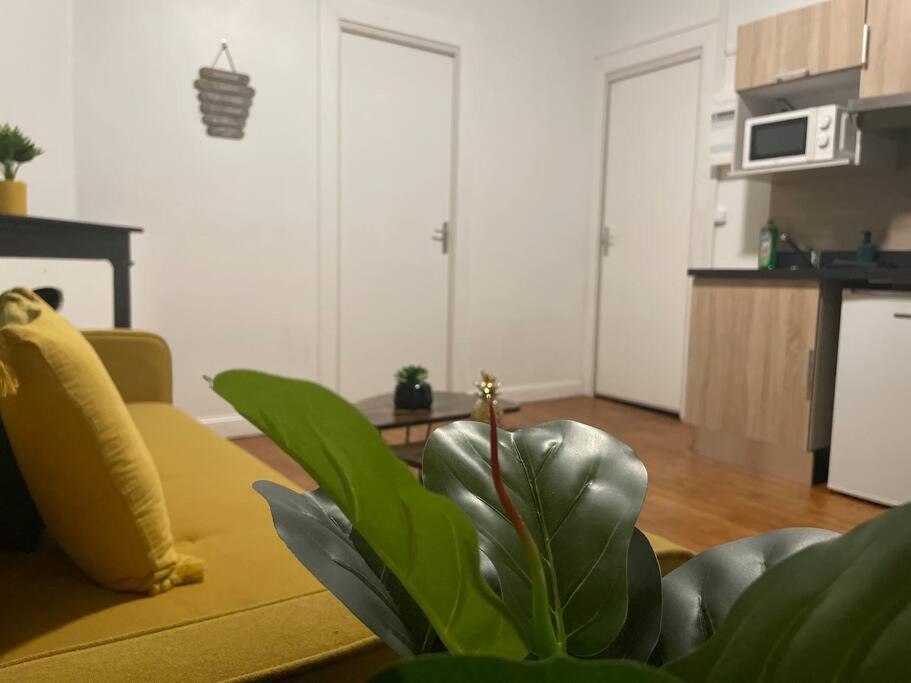 Photo of Others in Saint-Quentin