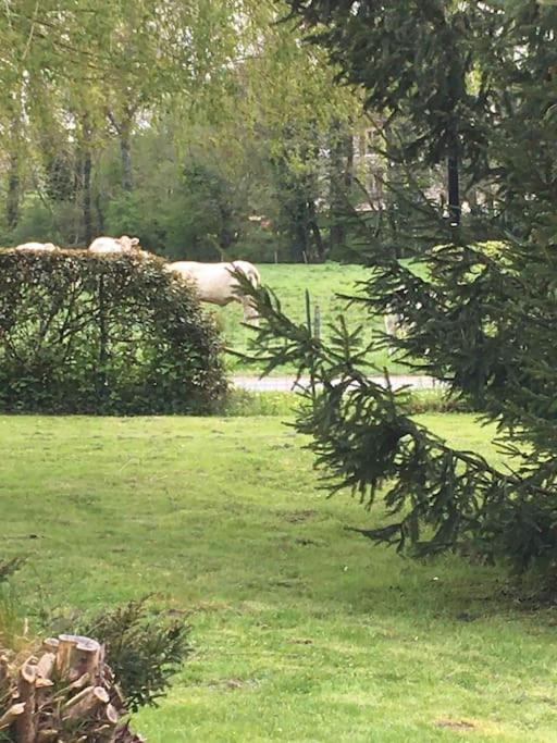 Photo of Outdoor in Aulnoy