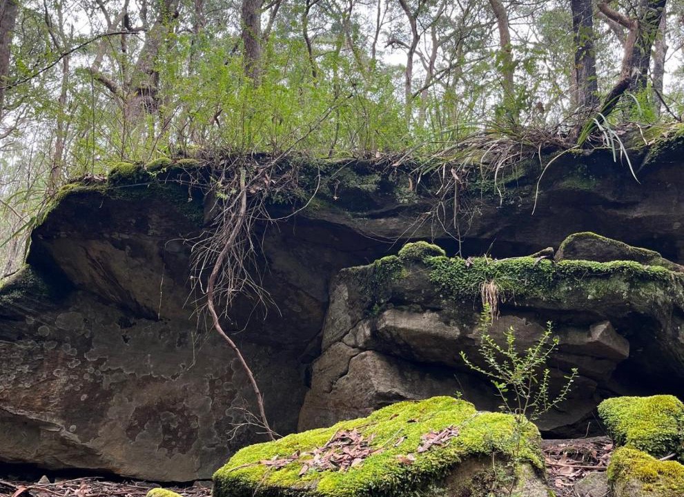 Photo of Others in Bundanoon