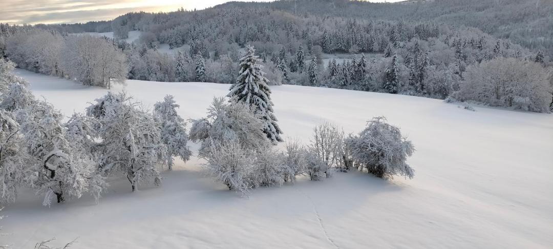 Photo of Others in Charmauvillers