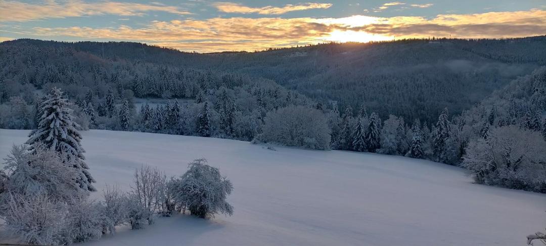 Photo of Others in Charmauvillers