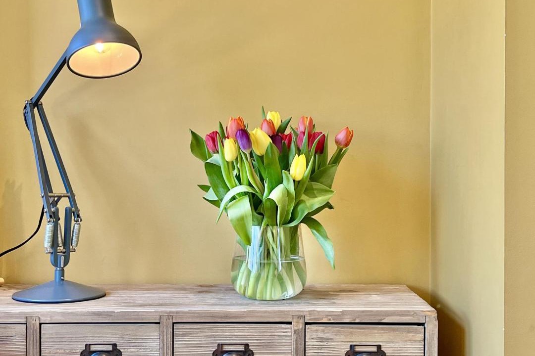 Photo of Others in Mayfield