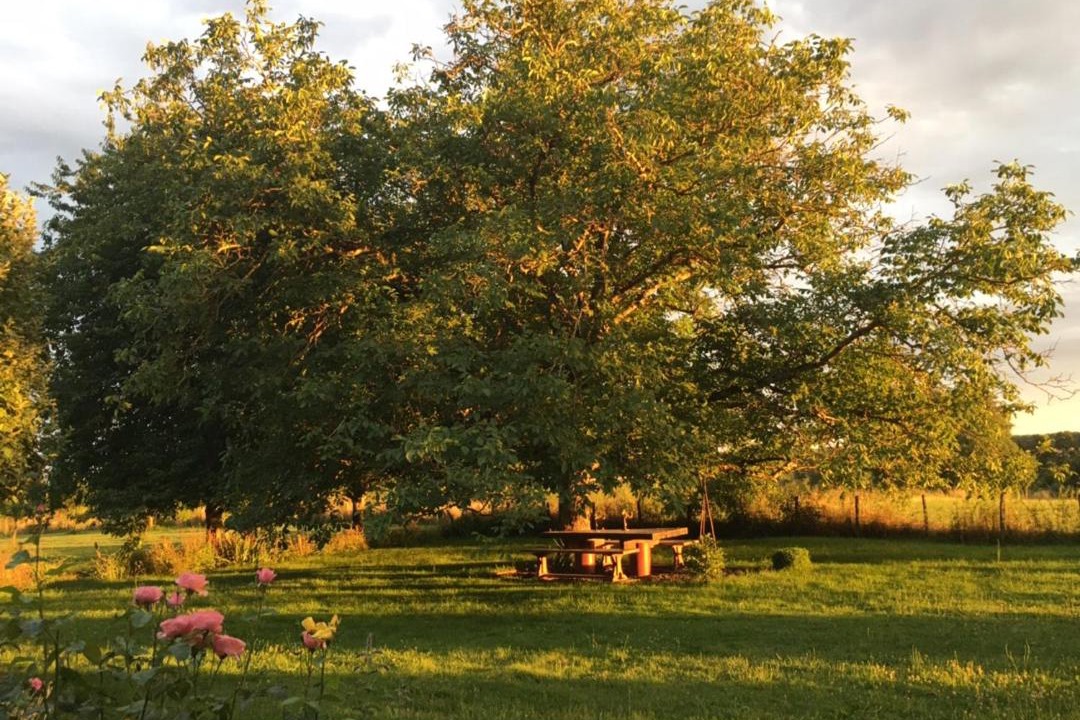 Photo of Others in Allerey-sur-Saone