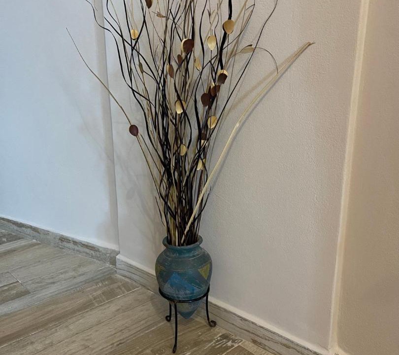 Photo of Others in Lixouri