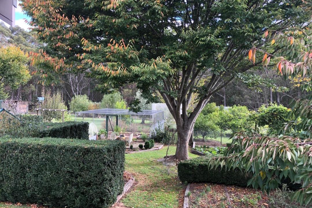 Photo of Others in Bundanoon