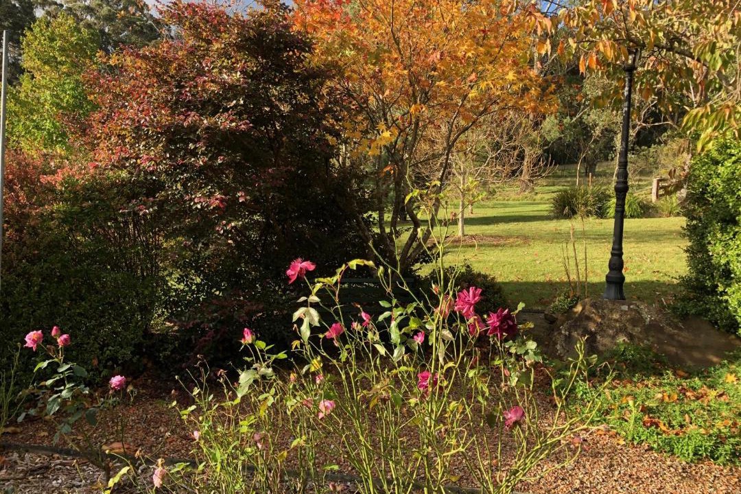 Photo of Others in Bundanoon