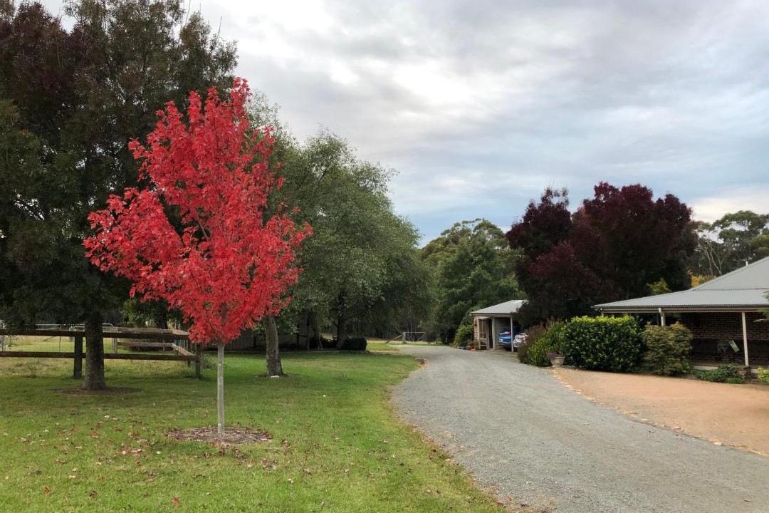 Photo of Others in Bundanoon
