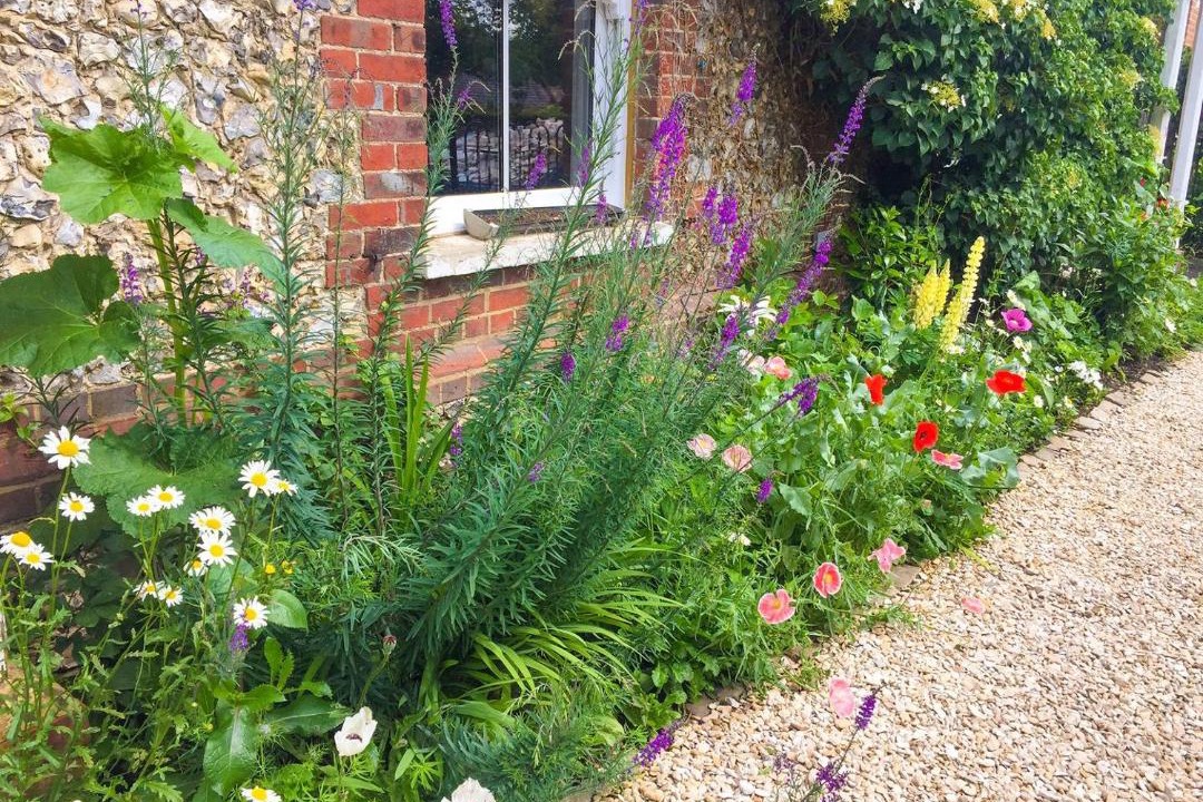 Photo of Others in Lacey Green