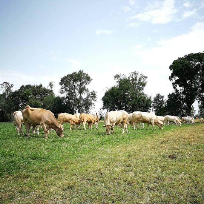 Photo of Others in Revel