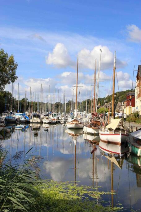Photo of Others in Ferel
