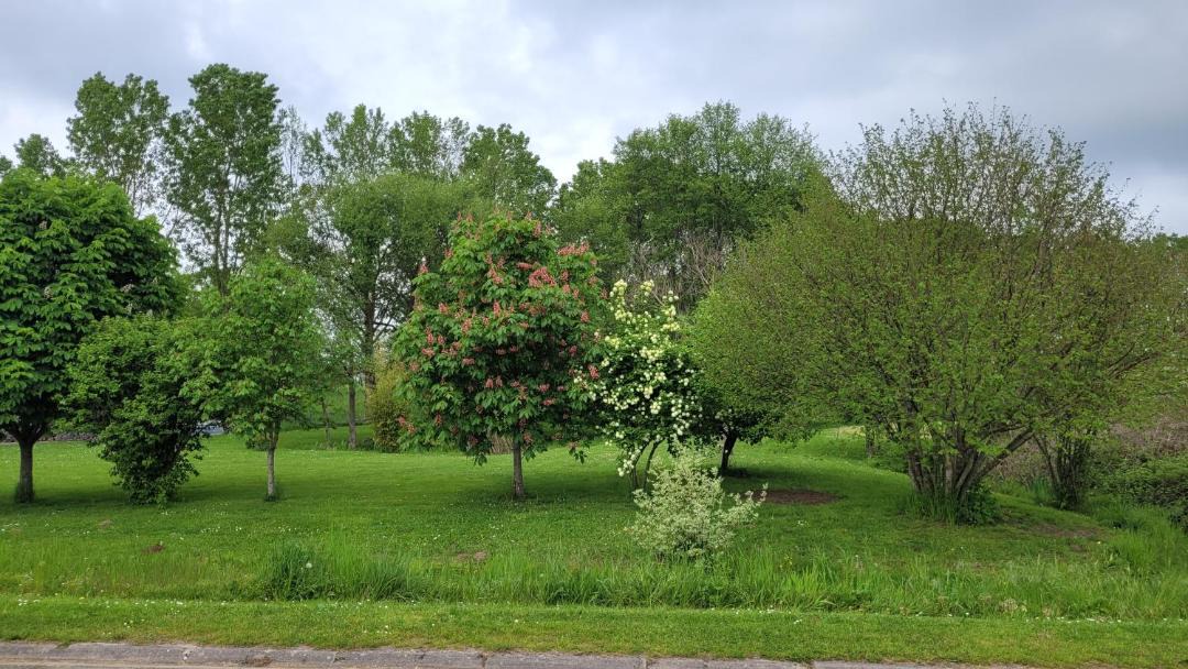 Photo of Others in Braucourt