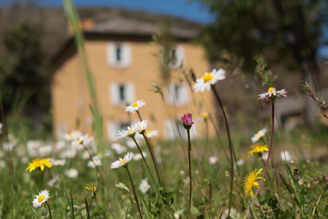 Photo of Others in Meyrueis