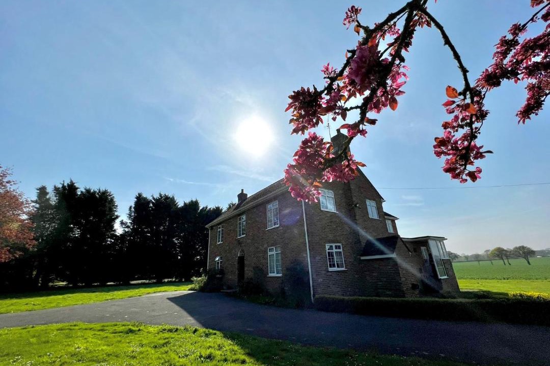 Photo of Others in Willesborough