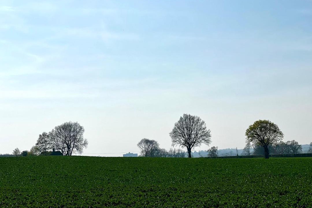 Photo of Others in Willesborough