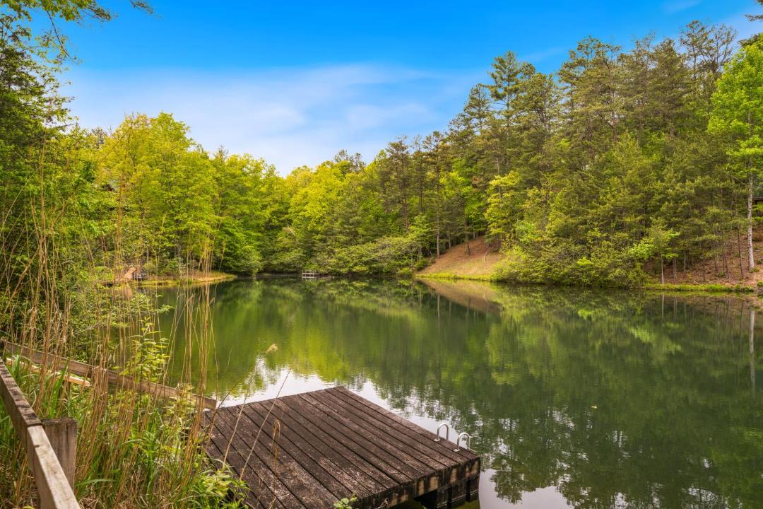 Photo of Others in McCaysville