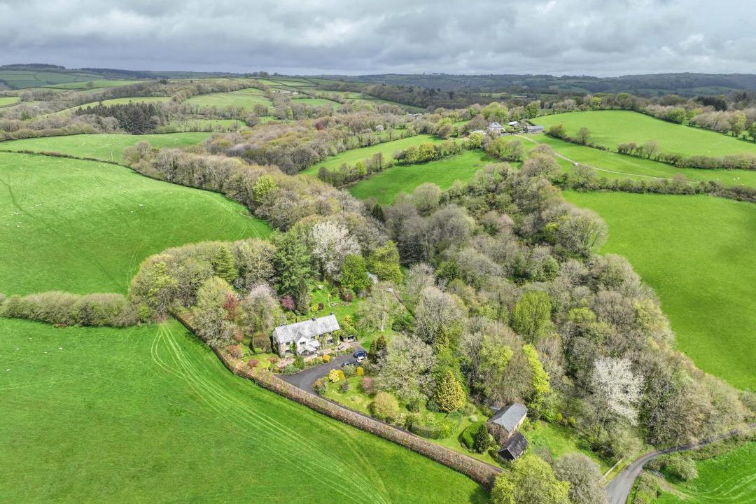 Photo of Others in Brushford