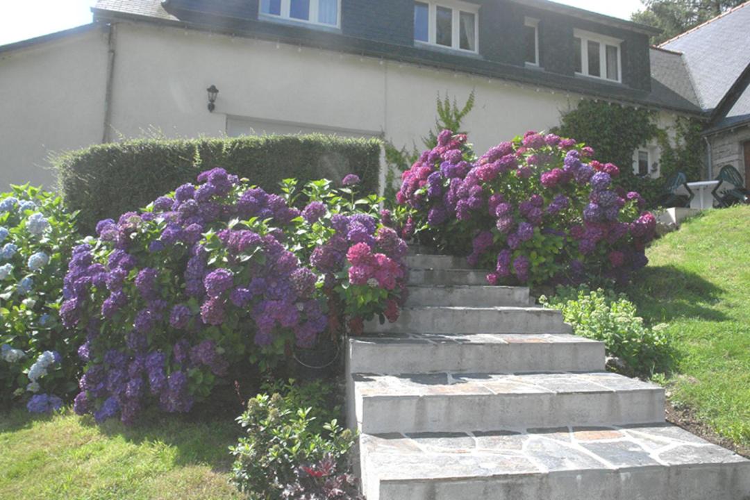 Photo of Others in Rostrenen