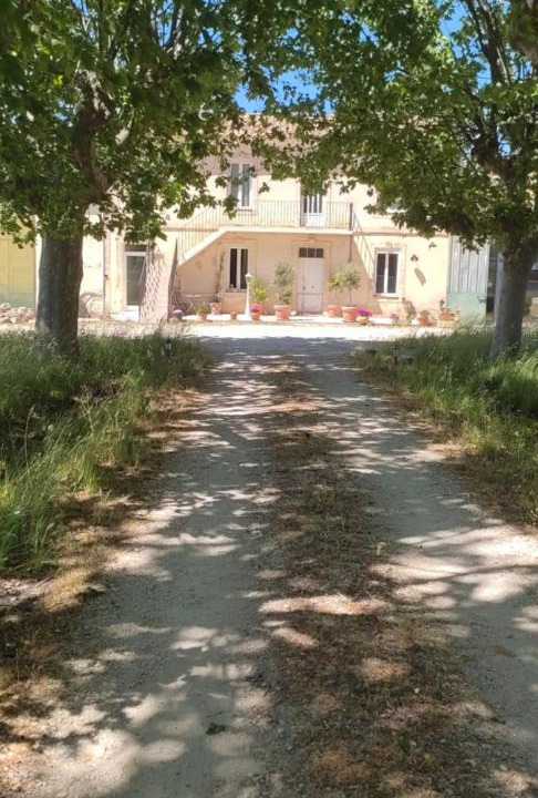 Photo of Others in Arles