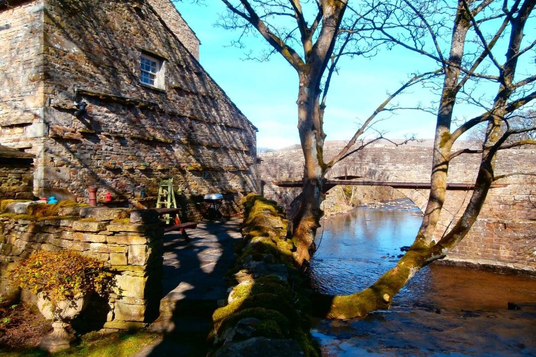 Photo of Others in Bainbridge