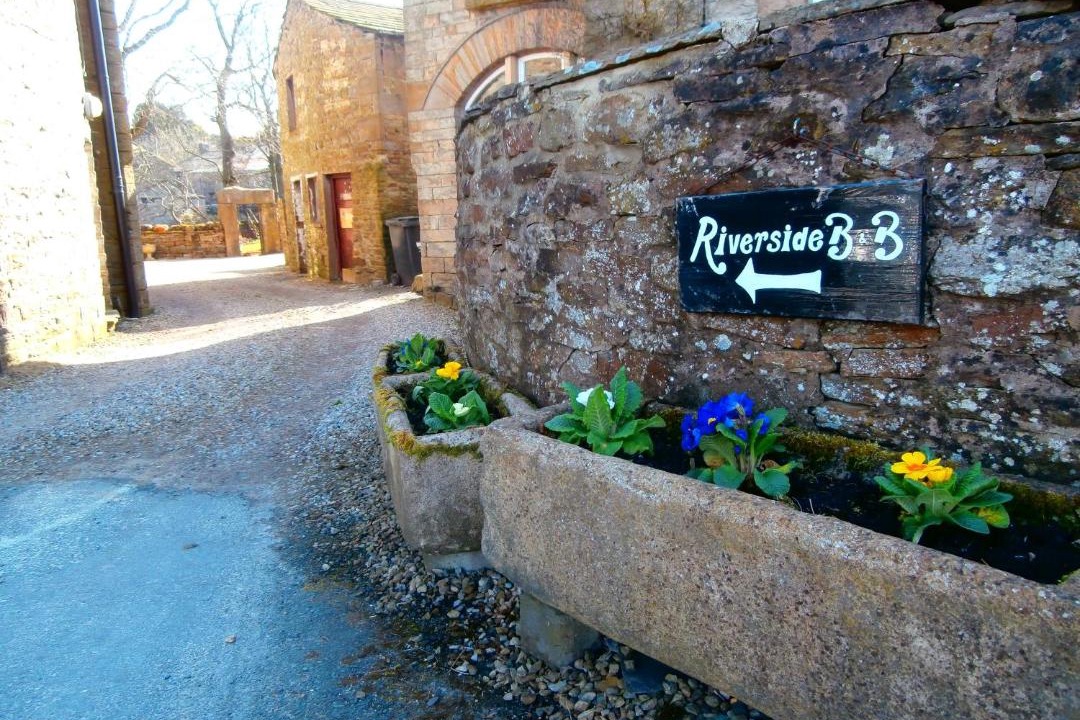 Photo of Buildings in Bainbridge