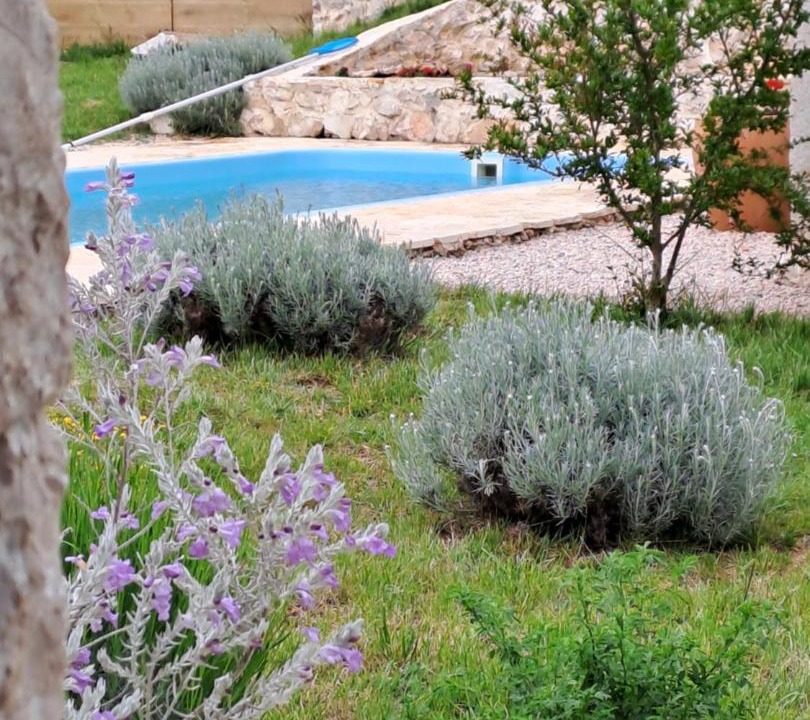 Photo of Outdoor in Cista Velika
