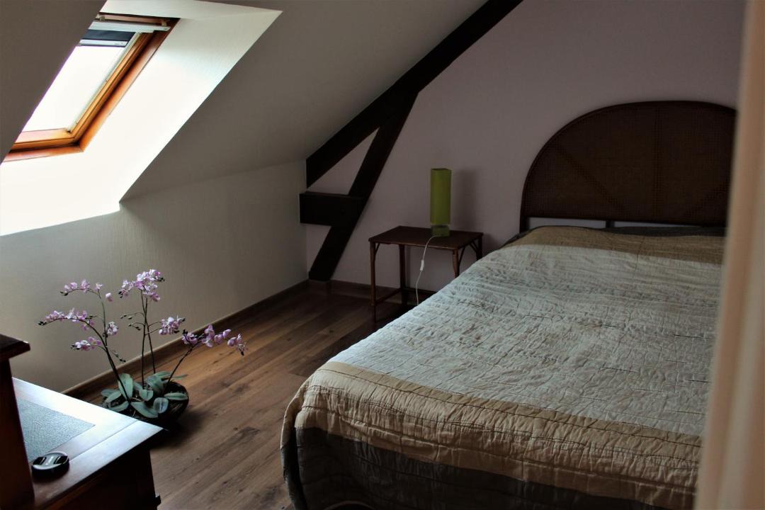 Photo of Others in Saint-James