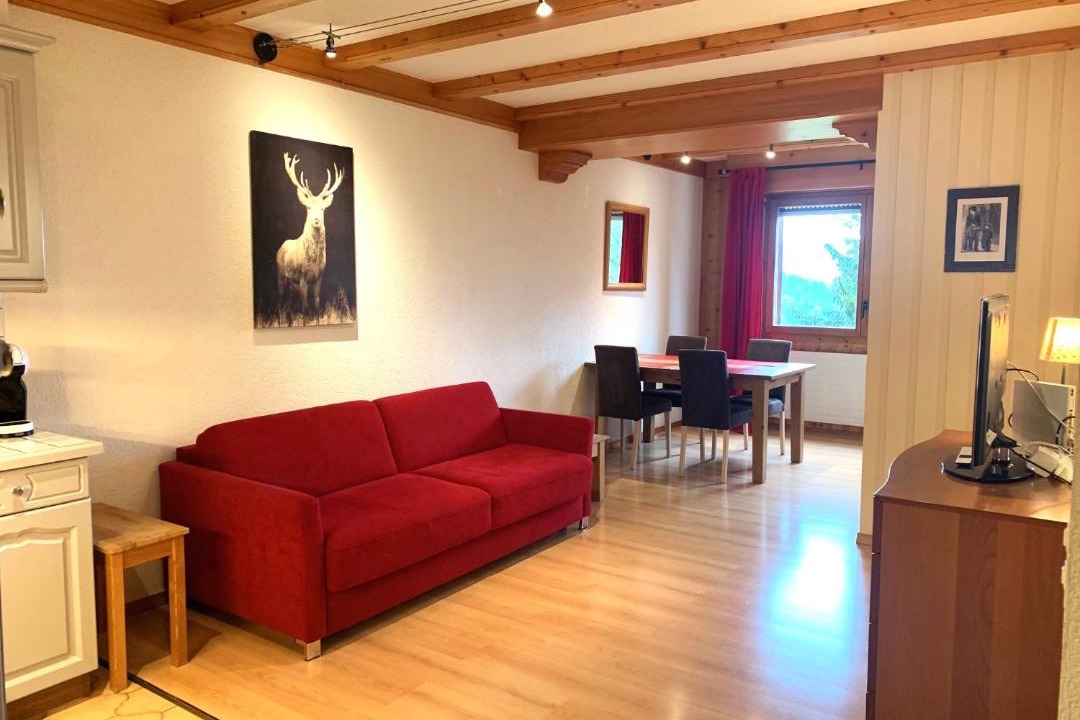 Photo of Livingroom in Leysin