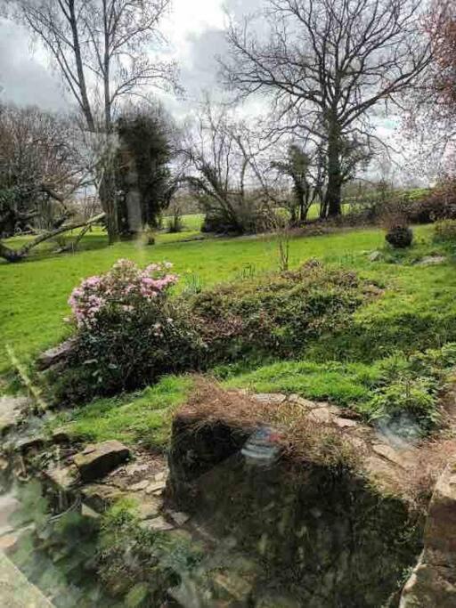 Photo of Outdoor in Camlez