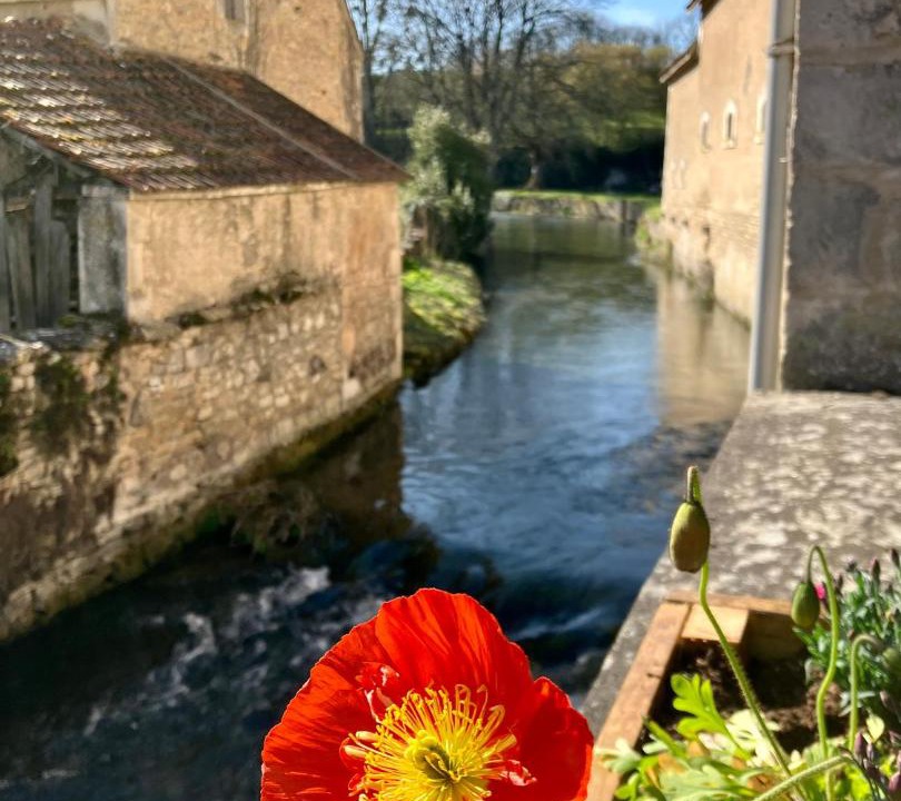 Photo of Others in Tannay