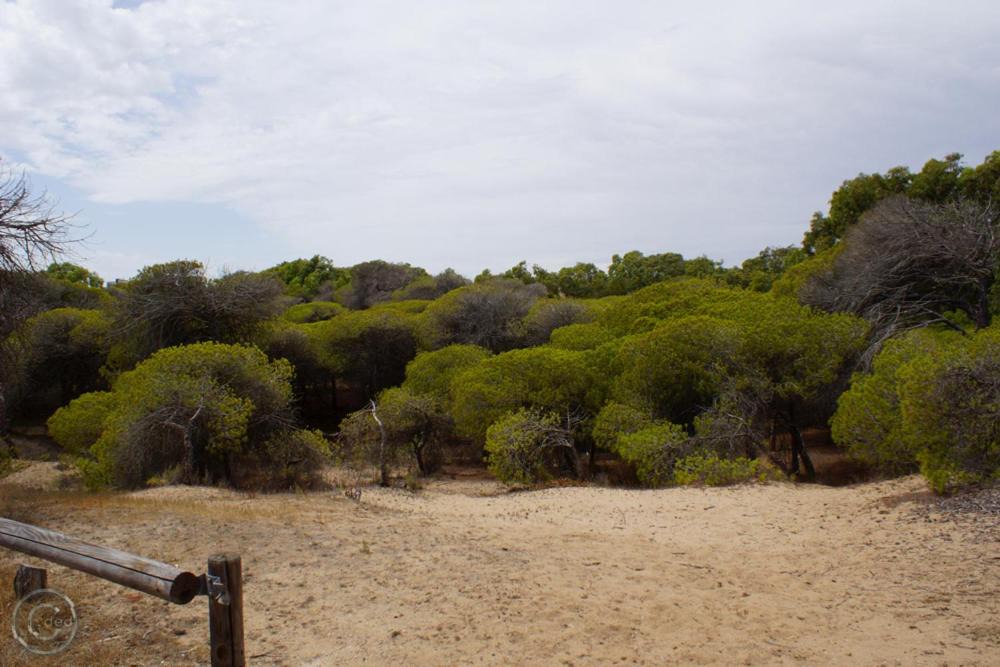 Photo of Outdoor in Guardamar del Segura