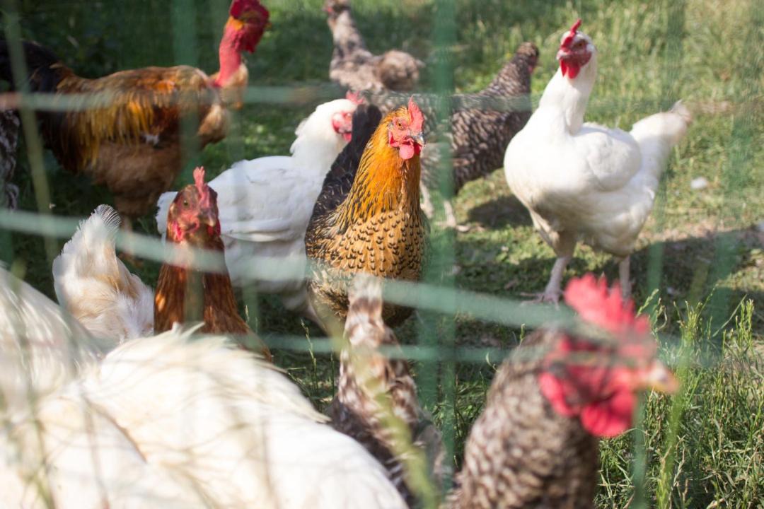 Photo of Others in Frevillers