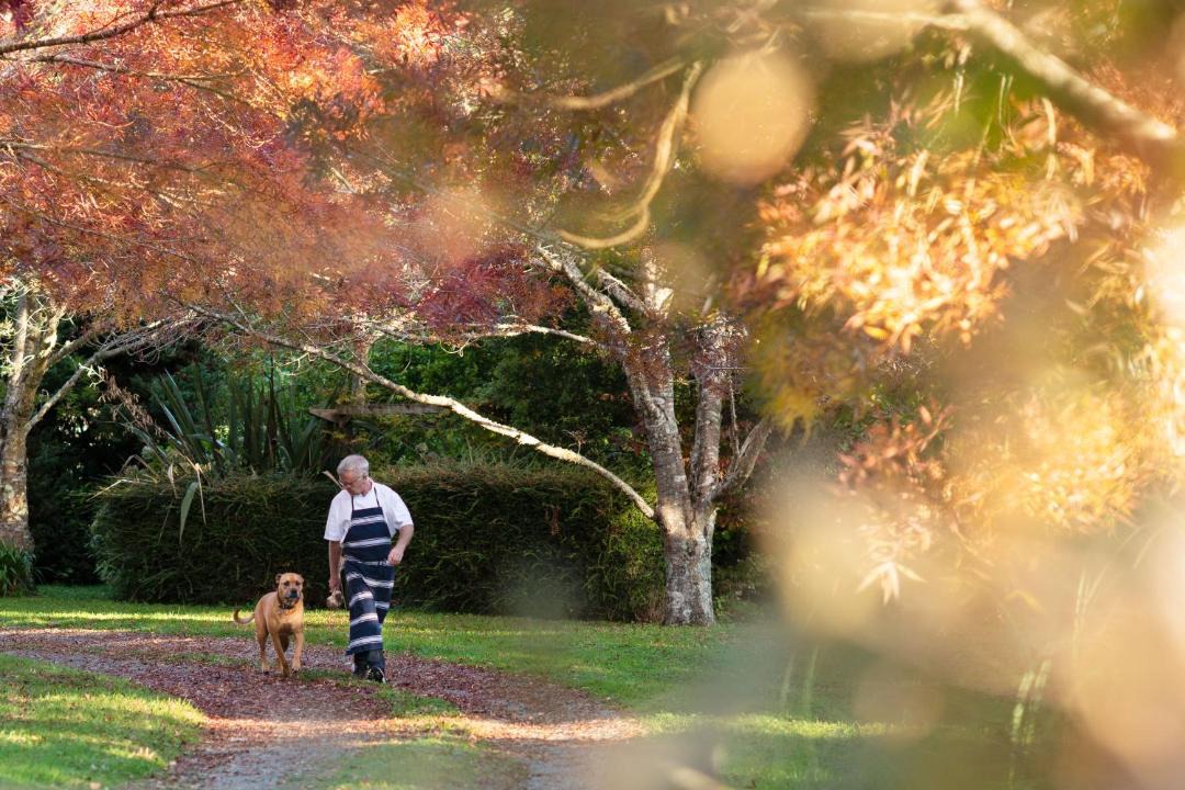 Photo of Others in Tararua Forest Park