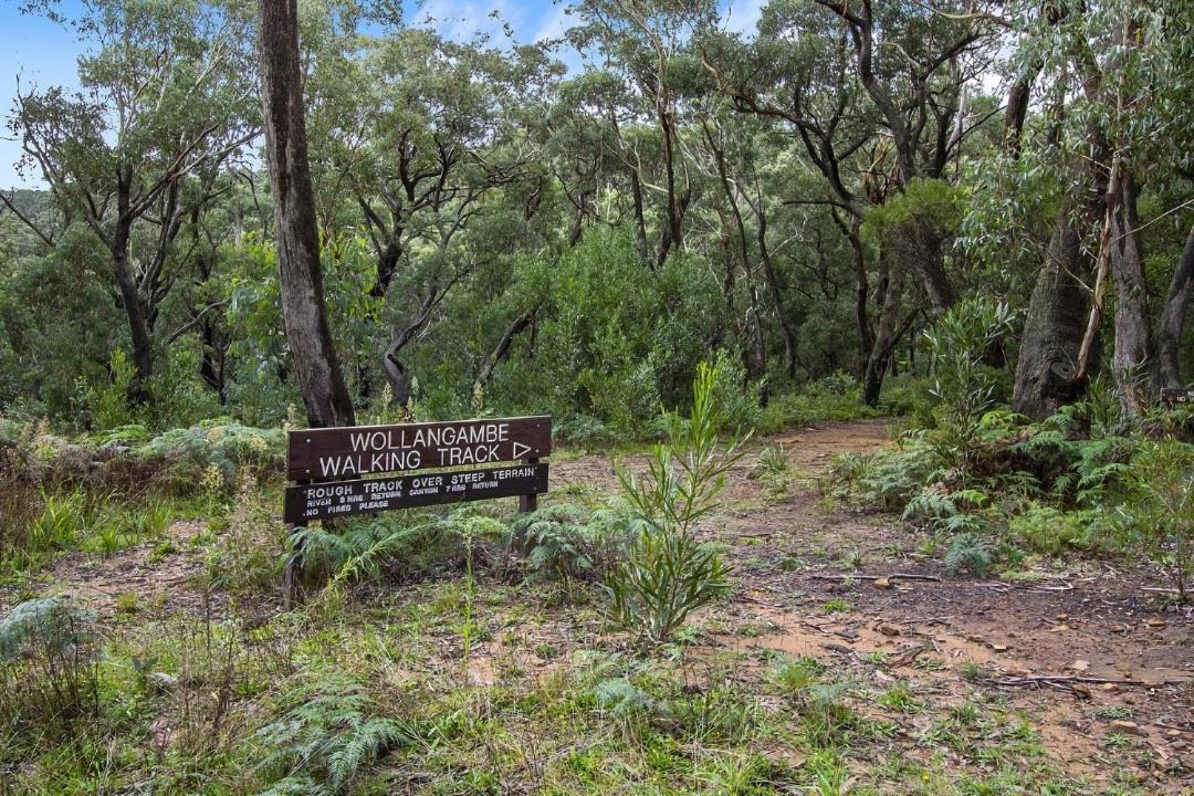 Photo of Others in Mount Wilson