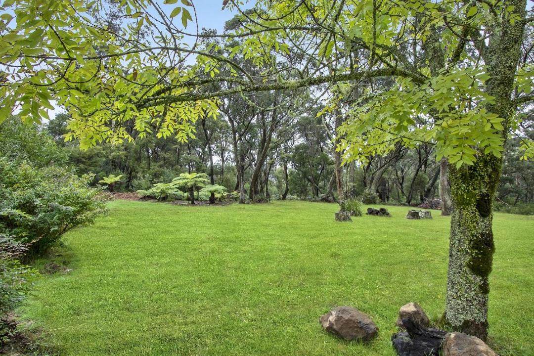 Photo of Others in Mount Wilson