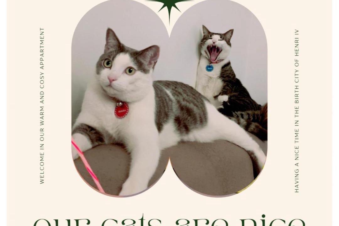 Photo of Others in Dufau-Tourasse