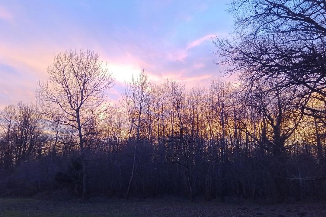 Photo of Others in Arquian